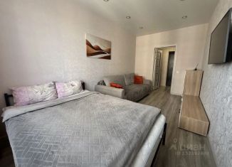 Сдается в аренду 1-ком. квартира, 43 м2, Иркутск, улица Румянцева, 48, ЖК Очаг