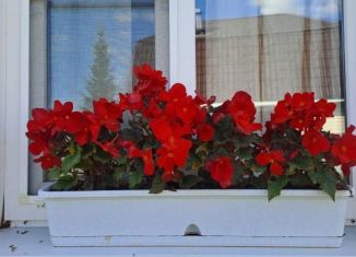 Продажа дома, 99.1 м2, садоводческий массив Учхоз