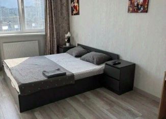 Сдается однокомнатная квартира, 50 м2, Самара, улица Советской Армии, 131А, метро Победа