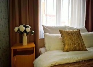 Сдается в аренду 1-комнатная квартира, 50 м2, Чебаркуль, улица Карпенко, 2