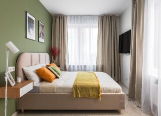 Аренда 1-ком. квартиры, 30 м2, Санкт-Петербург, проспект Маршала Блюхера, 3к2, метро Выборгская