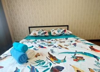 Сдается 1-комнатная квартира, 43 м2, Самара, улица Гастелло, 42, метро Победа