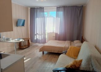 Сдается квартира студия, 31 м2, Самара, улица Гастелло, 22А, метро Гагаринская