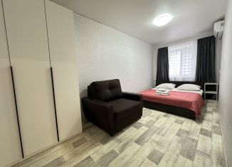 Сдача в аренду 2-комнатной квартиры, 45 м2, Самара, улица Авроры, 217, метро Гагаринская