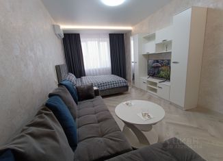Сдам 1-ком. квартиру, 40 м2, Самара, улица Александра Солженицына, 2, Куйбышевский район