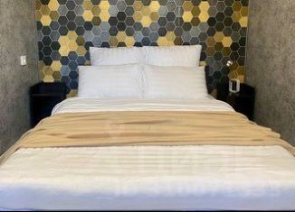 2-ком. квартира в аренду, 45 м2, Республика Башкортостан, проспект Октября, 82