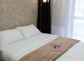 Сдам в аренду квартиру студию, 30 м2, Республика Башкортостан, бульвар Давлеткильдеева, 18