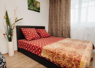 Сдается в аренду 1-ком. квартира, 40 м2, Екатеринбург, Союзная улица, 2