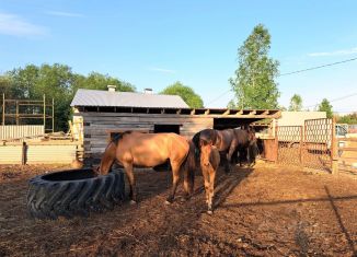 Продаю дом, 120 м2, Ленинградская область, деревня Каушта, 1