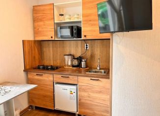 Сдам в аренду квартиру студию, 15 м2, Гатчина, улица Карла Маркса, 59В