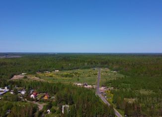 Продажа земельного участка, 7.31 сот., Ленинградская область