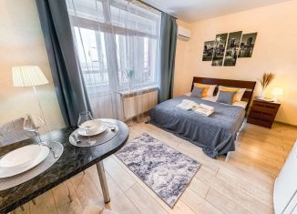 Сдается в аренду квартира студия, 29 м2, Химки, Совхозная улица, 16к2