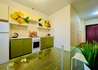 Сдается 1-ком. квартира, 45 м2, Химки, улица 9 Мая, 8А
