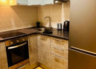 Сдаю в аренду 1-комнатную квартиру, 25 м2, Выборг, улица Сторожевой Башни, 9
