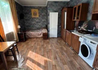 Сдается в аренду дом, 25 м2, село Черешня, улица Заря, 4
