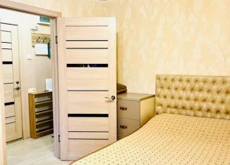 Сдача в аренду однокомнатной квартиры, 27 м2, Ростов-на-Дону, улица Ерёменко, 85/5, Советский район