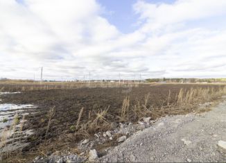 Продается участок, 525 сот., село Мальцево