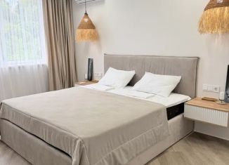 Сдам в аренду дом, 80 м2, Краснодарский край, улица Романтиков, 17