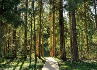 Продаю участок, 35 сот., деревня Матвеево