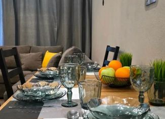 Сдается однокомнатная квартира, 47 м2, Казань, улица Чехова, 8/2, Вахитовский район