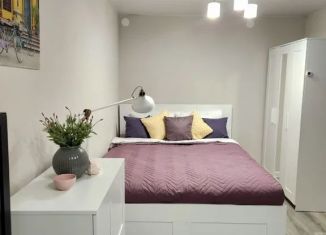 Сдам в аренду 1-комнатную квартиру, 31 м2, Казань, улица Карла Маркса, 25