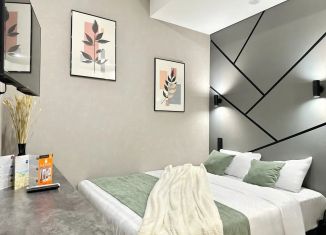 Сдаю 1-комнатную квартиру, 20 м2, Казань, улица Карла Маркса, 5, Вахитовский район