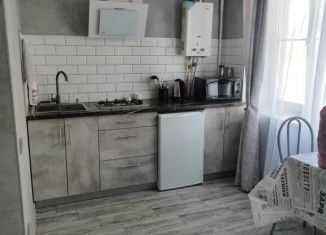 Квартира в аренду студия, 30 м2, Ростовская область, улица Сергея Шило, 237