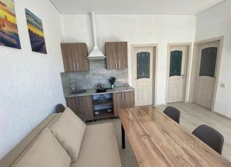 Сдается дом, 40 м2, посёлок Пятихатки, улица Дружбы, 34А