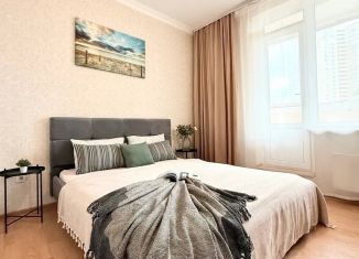 Аренда 1-комнатной квартиры, 30 м2, Ростов-на-Дону, улица Ерёменко, 101, Советский район