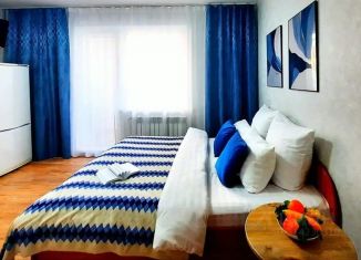 Сдается в аренду 1-комнатная квартира, 23 м2, Челябинская область, улица Карпенко, 2