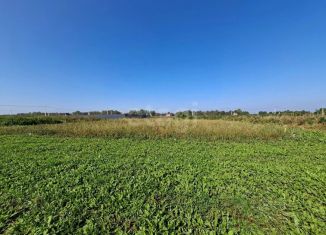 Продажа участка, 8 сот., село Червишево