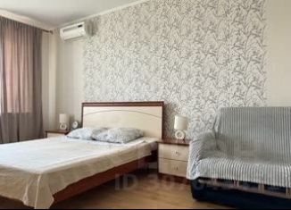 Сдается 1-комнатная квартира, 50 м2, Самарская область, улица Мичурина, 4