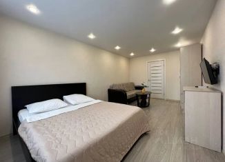 Сдам в аренду однокомнатную квартиру, 40 м2, Самара, проспект Кирова, 322Ак6, метро Победа