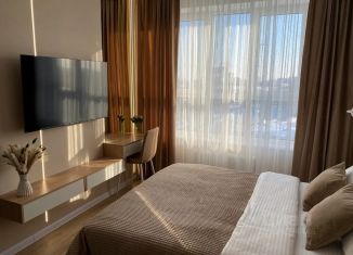 Аренда 1-комнатной квартиры, 22 м2, Самара, проспект Карла Маркса, 231, метро Победа