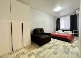 Сдача в аренду 2-ком. квартиры, 42 м2, Самара, улица Авроры, 217, метро Московская
