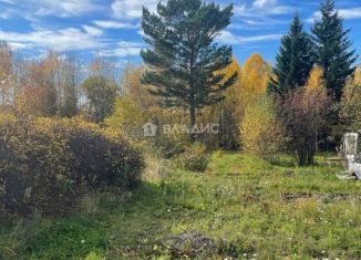 Дом на продажу, 30 м2, СНТ Спецстроевец