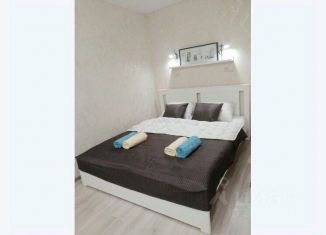Сдача в аренду однокомнатной квартиры, 31 м2, Мурманск, улица Карла Маркса, 45