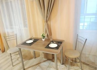 Квартира в аренду студия, 30 м2, Иркутск, улица Полины Осипенко, 13, Правобережный округ