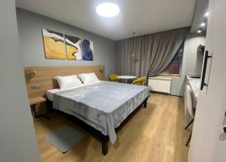 Сдача в аренду однокомнатной квартиры, 20 м2, Апатиты, улица Ленина, 2А
