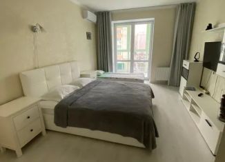 Сдача в аренду однокомнатной квартиры, 42 м2, Калининградская область, улица Старшины Дадаева, 66