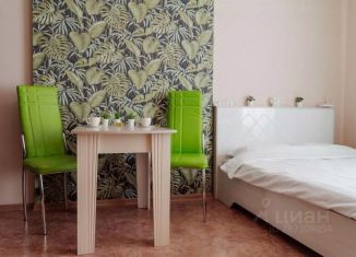 Сдам однокомнатную квартиру, 30 м2, Томск, улица Савиных, 4А, Кировский район