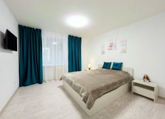 Сдается в аренду 1-ком. квартира, 20 м2, Пермь, Пермская улица, 124, Ленинский район
