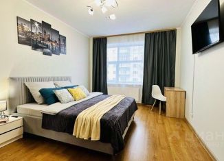 Сдам однокомнатную квартиру, 40 м2, Пермь, Боровая улица, 2, Дзержинский район