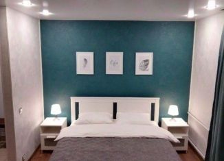 Аренда 1-ком. квартиры, 20 м2, Мурманск, улица Карла Либкнехта, 30А