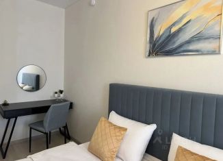 Сдаю в аренду квартиру студию, 30 м2, Воронеж, улица Ломоносова, 116А, Центральный район