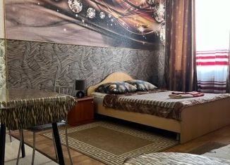 Сдаю квартиру студию, 30 м2, Омск, улица Профинтерна, 10, Кировский округ
