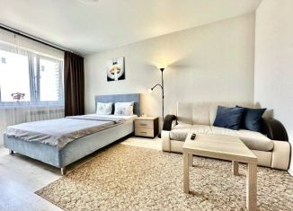 Сдается в аренду 1-ком. квартира, 40 м2, Ковров, улица Маршала Устинова, 3