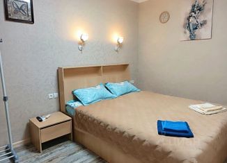 Сдается в аренду однокомнатная квартира, 28 м2, Пятигорск, проспект Кирова, 31