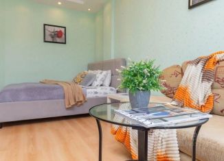 Сдам в аренду 1-комнатную квартиру, 45 м2, Омск, бульвар Архитекторов, 14/1, Кировский округ