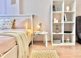 Сдается однокомнатная квартира, 44 м2, Пермь, улица Александра Турчевича, 6, Свердловский район